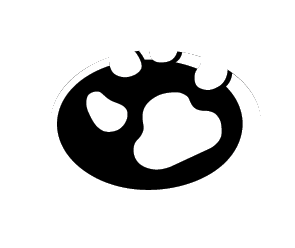 Hundeschule Logo 7