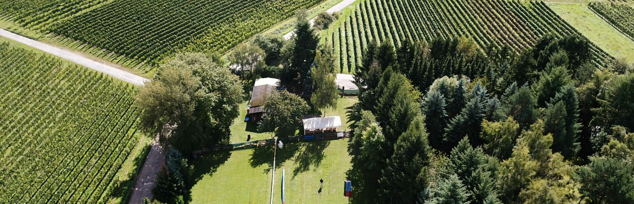 Hundeschule Rheingauer Pfotentreff Drohnenaufnahme 10