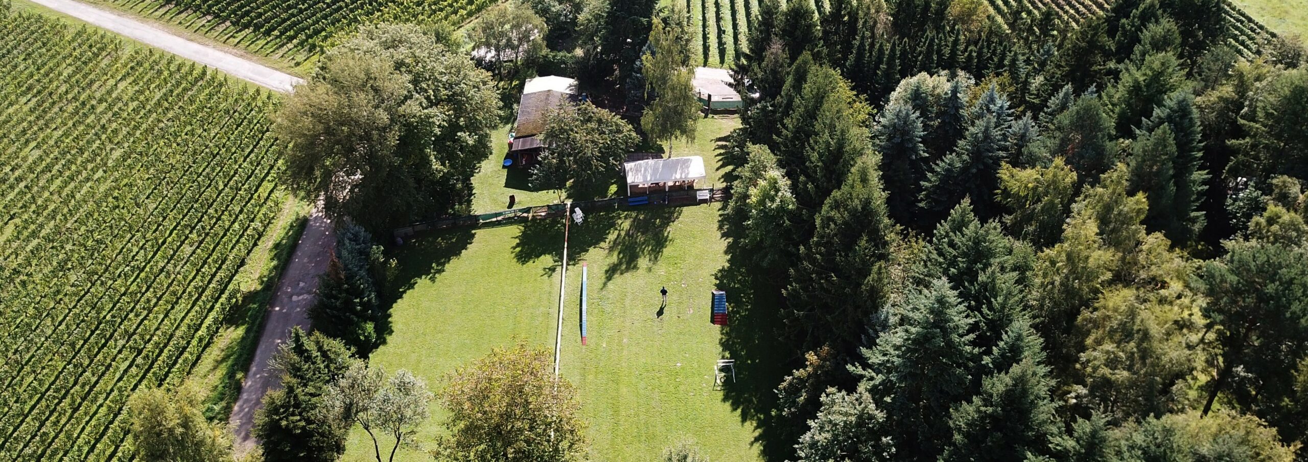 Hundeschule Rheingauer Pfotentreff Drohnenaufnahme 5